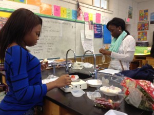 (From left) Darilexiya masses a tomato for the lab and Daesha places a cucumber inside a bag to begin the extraction process.