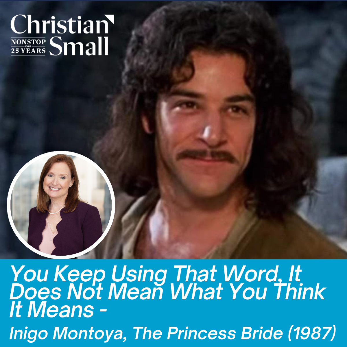 “You Keep Using That Word, I Do Not Think It Means What You Think It Means”